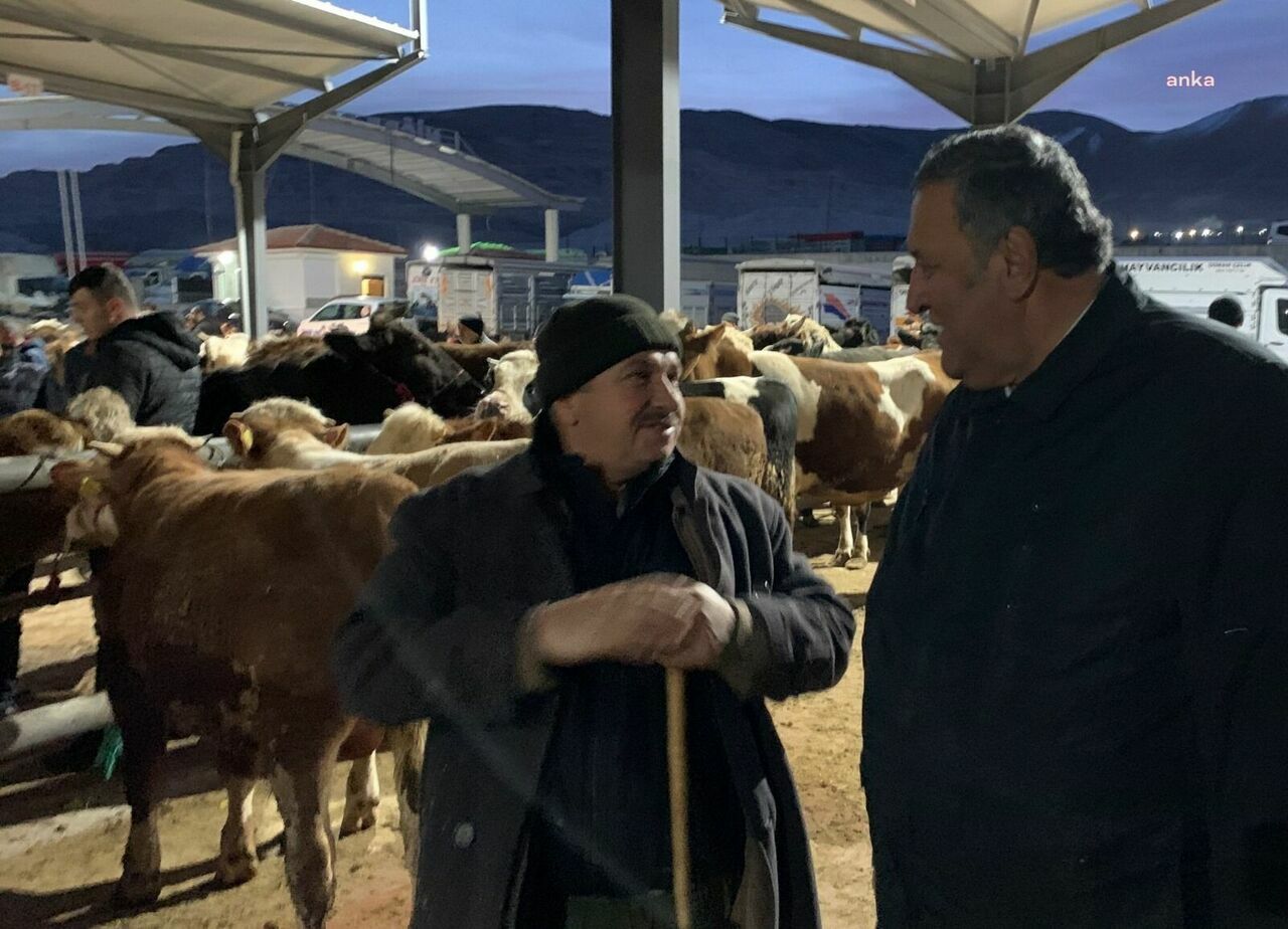 82A77Ceb 53B8 47B2 B9Da 97Aa0408D079 W