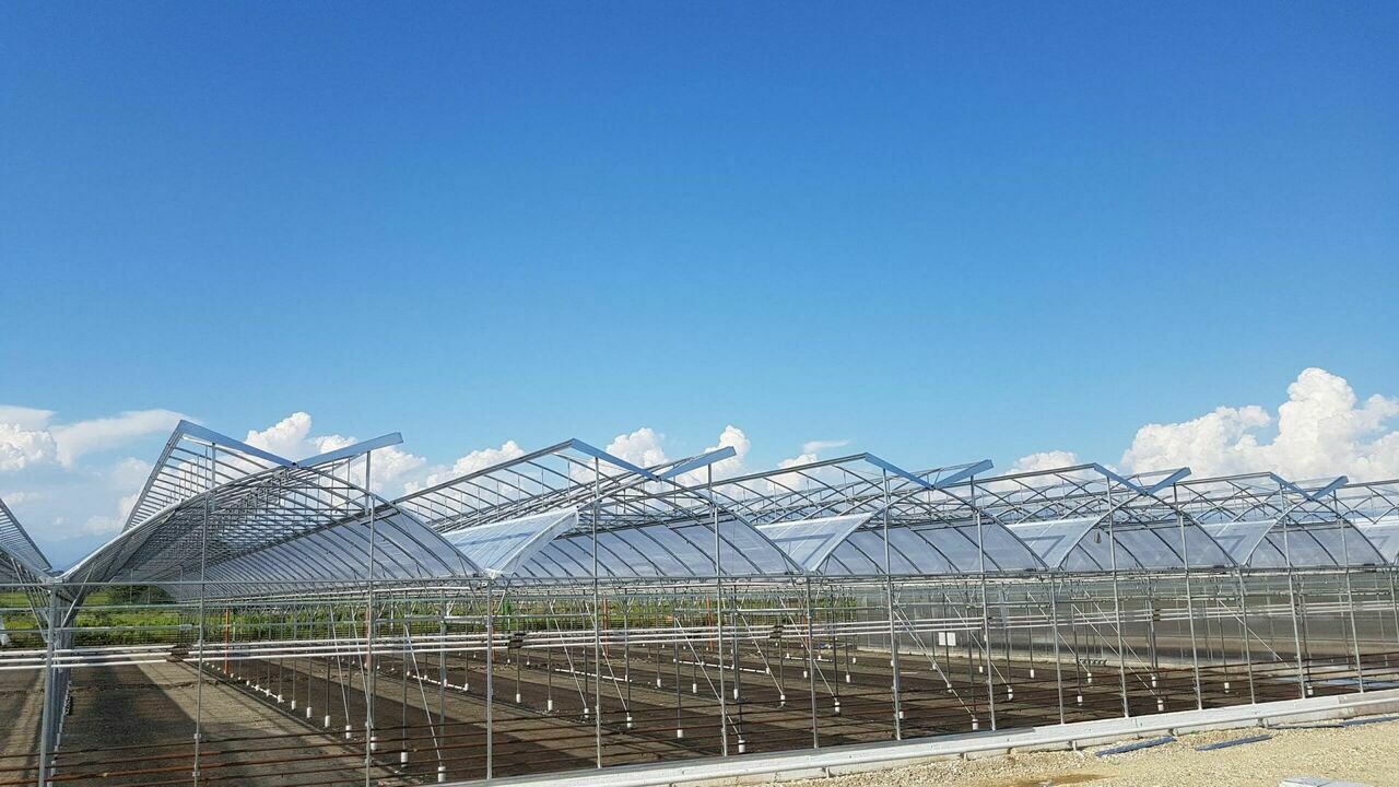 Kocaeli, çiftçi, modern sera, mahsul, verimlilik, sera naylonu, tarım, üretici, destek-1