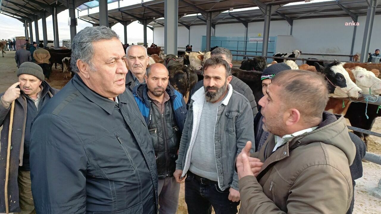 B789E9De 91C3 428A 864D 66885Fe8A066 W