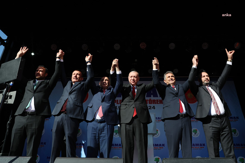 Fdf3C446 Eb6A 4C3E A8Ba 8Dd81F166Bf8 W