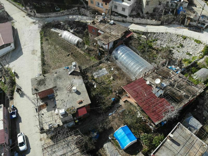 Hatay'da Depremzede Çiftçiden Ilk Çilek Hasadı (5) Result