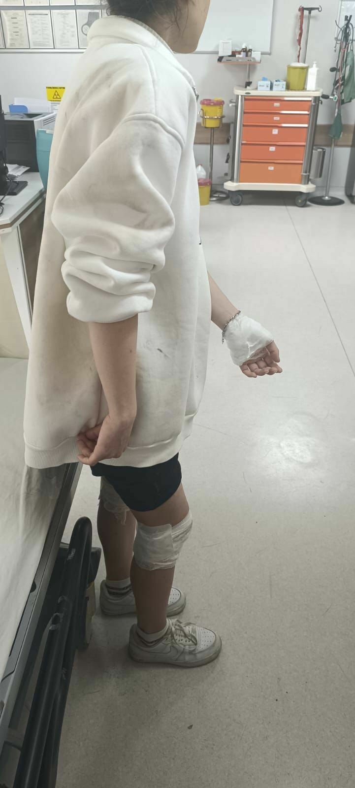 Köpeklerinin Saldırısına Uğrayan 17 Yaşındaki Kız Yaralandı2