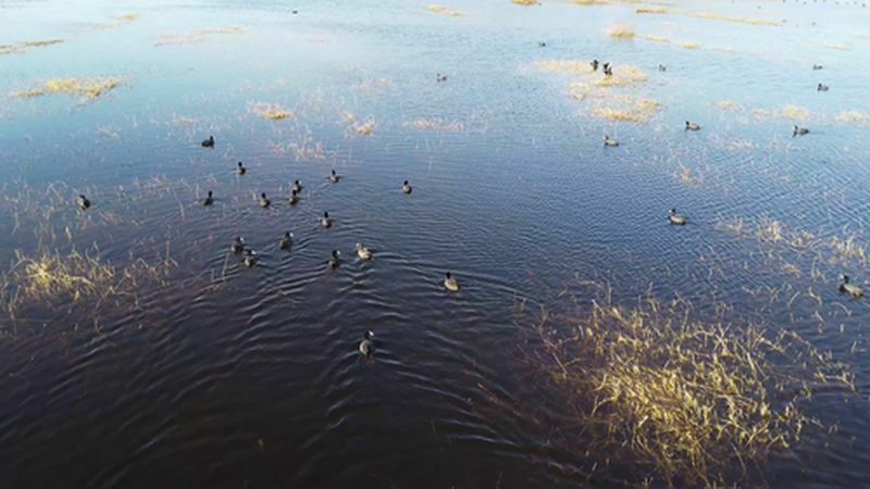 Kuruma Noktasına Gelmişti! Mileyha Baharla Canlandı (3) Result