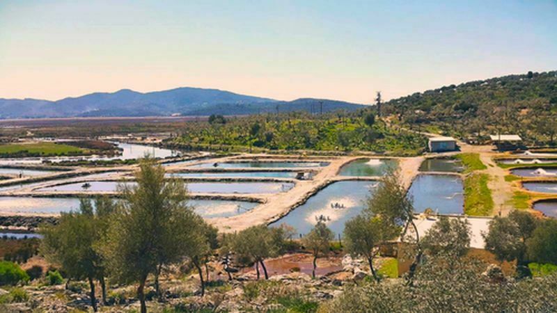 Milas'ta Toprak Havuz Balık Yetiştiricilerine Geka Desteği (2) Result