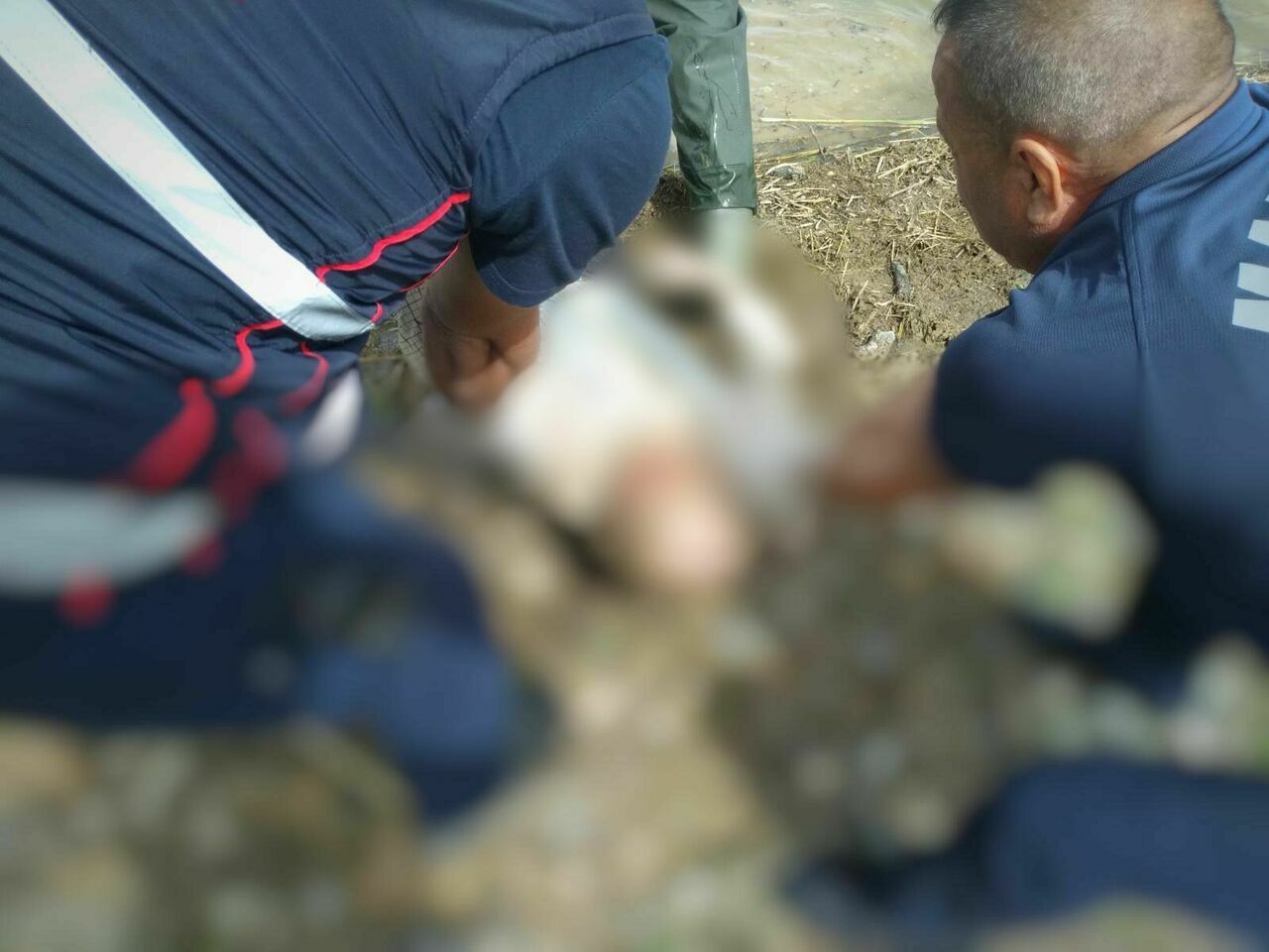 55 Yaşındaki Kayıp Kişinin Cesedi Baraj Göletinde Bulundu2