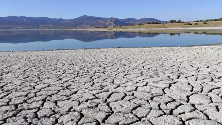 6163F5665Cf3B023E4Dcf0E3