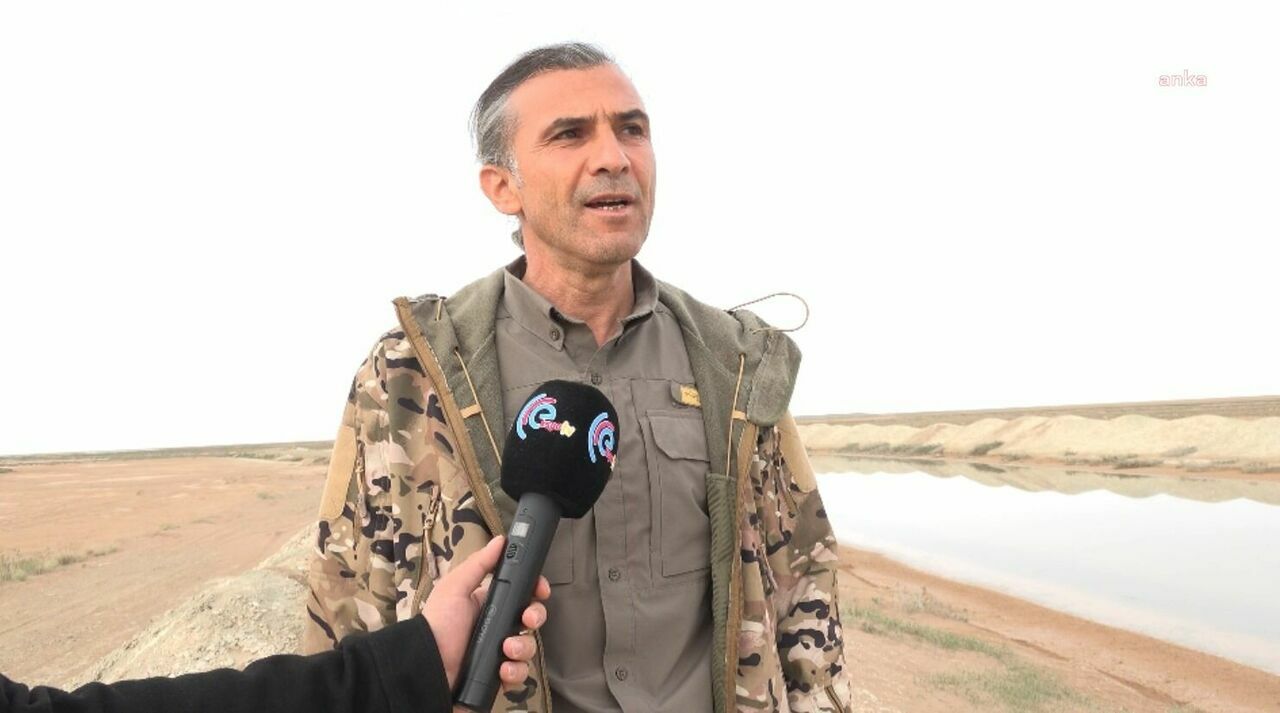 Tuz Gölü'nde flamingoların kuluçka dönemi başladı