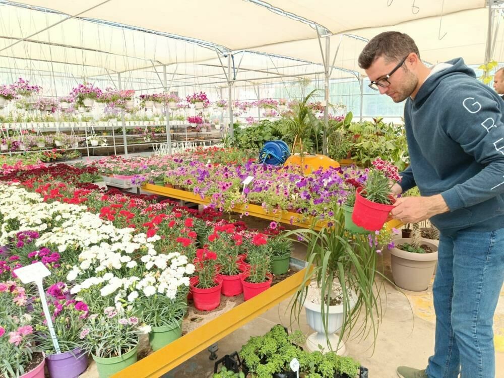 Otizmli öğrencilerin yetiştirdiği çiçekler Denizli'de göz kamaştırıyor