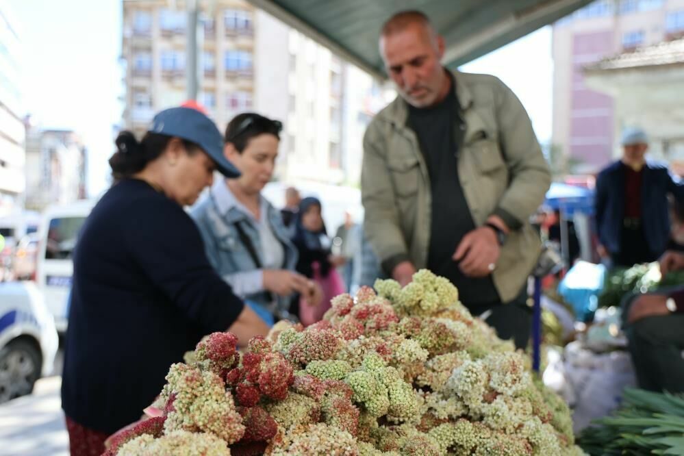 Elazığ'da doğal şifa deposu olarak ilinen 'Işkın' yoğun ilgi görüyor