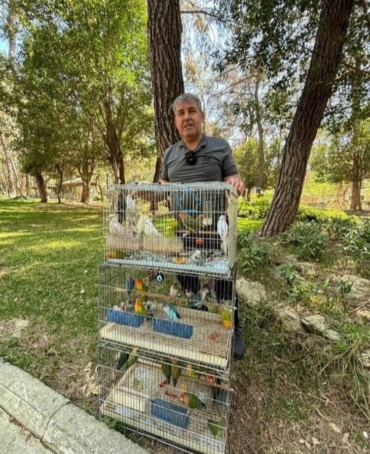 Antalya’da papağan operasyonu