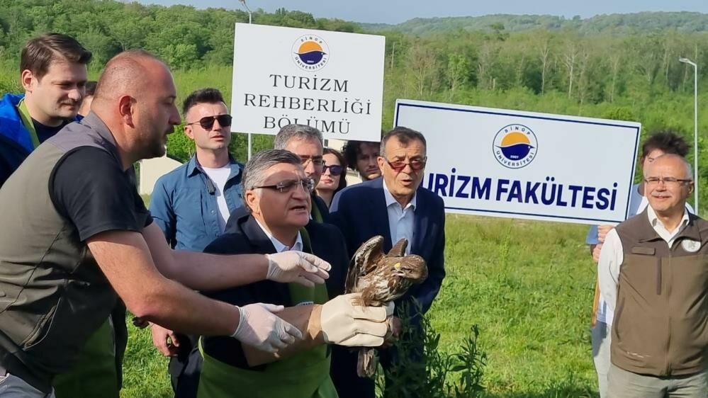 Sinop'ta doğaya salınan kartal kadına saldırdı