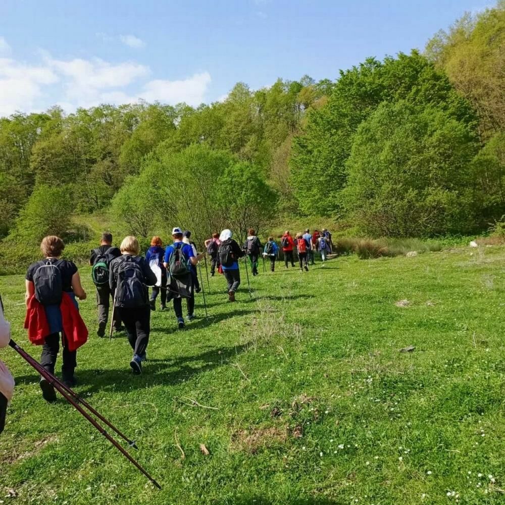 Mudanya'da doğaseverler bir araya geldi