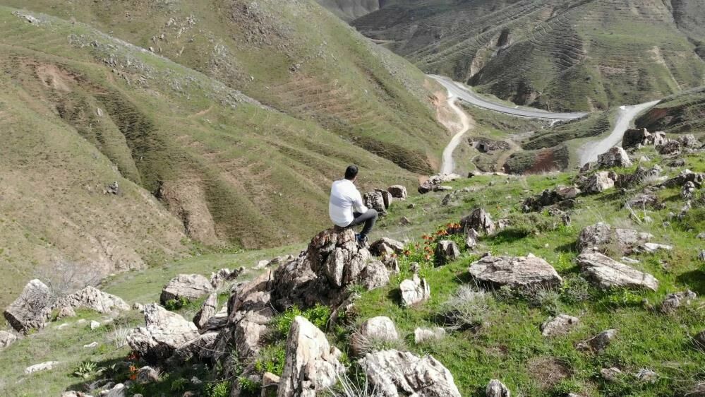 Bitlis ters laleleri doğal güzelliğiyle büyülüyor