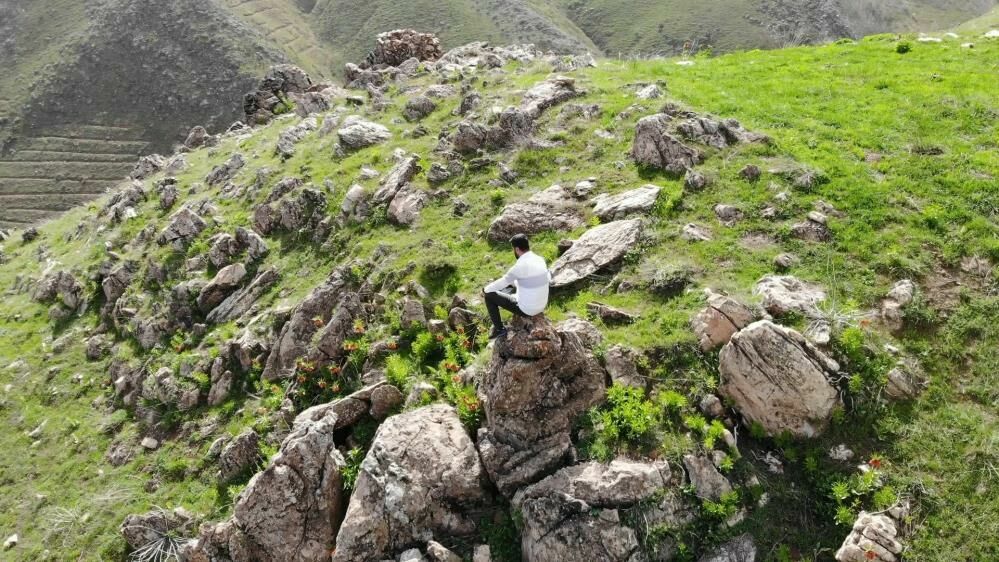 Bitlis ters laleleri doğal güzelliğiyle büyülüyor