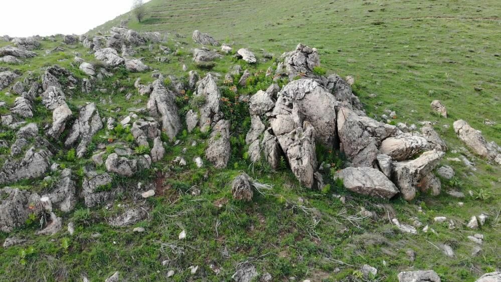 Bitlis ters laleleri doğal güzelliğiyle büyülüyor