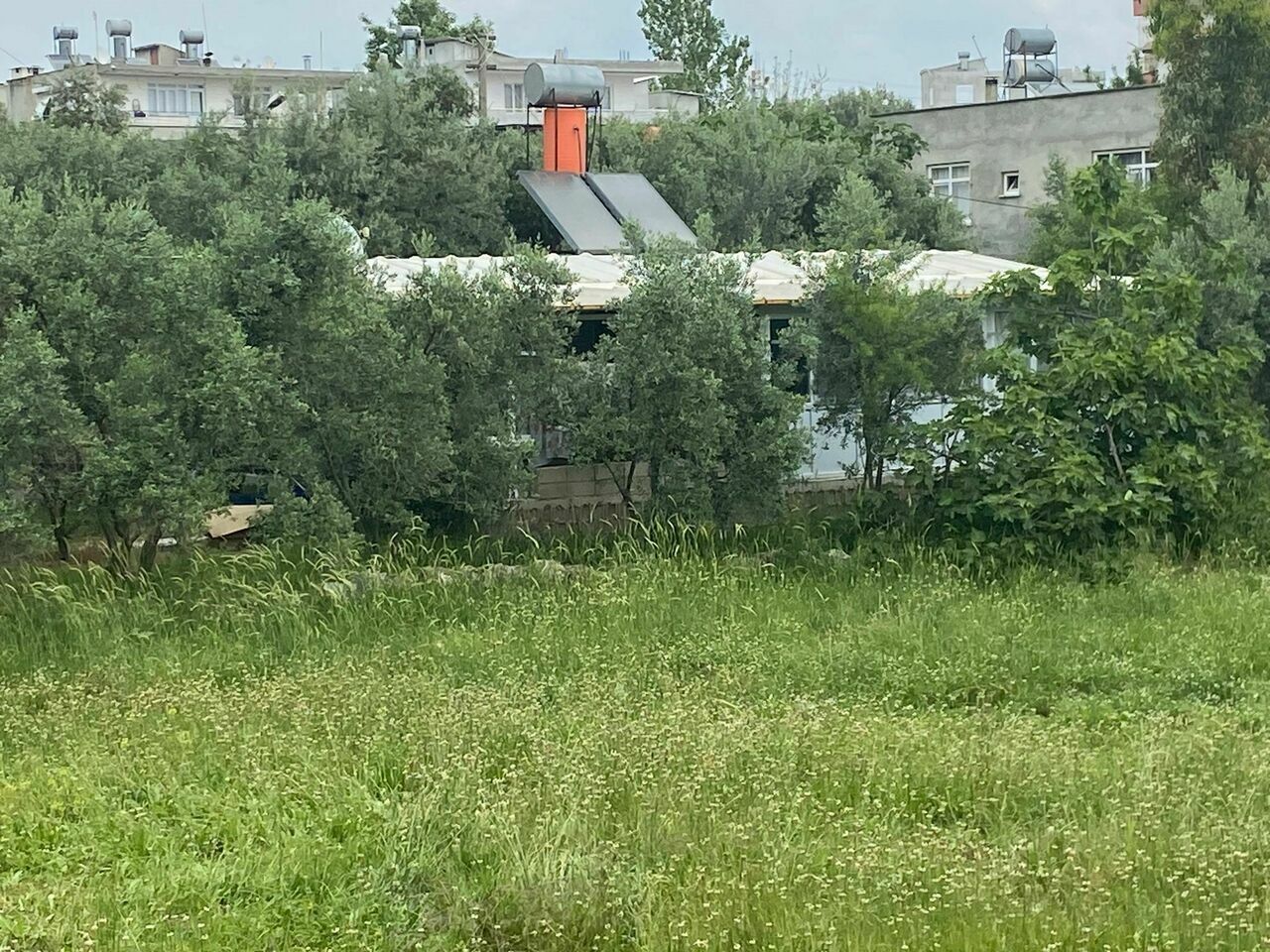 Antalya'da Konteyner Evi Satışa Çıkarılan Kadın Sokakta Kaldı