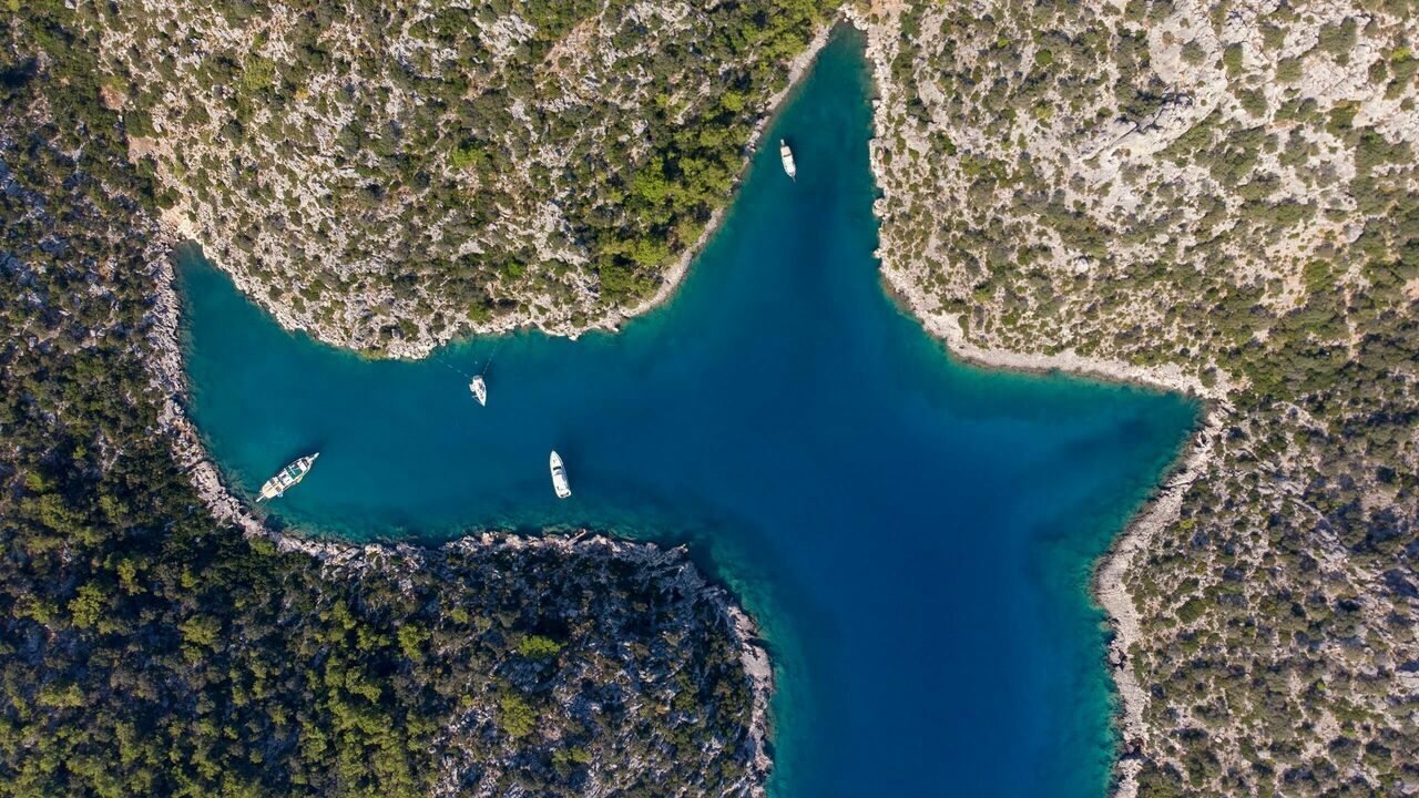 Karaloz Koyu