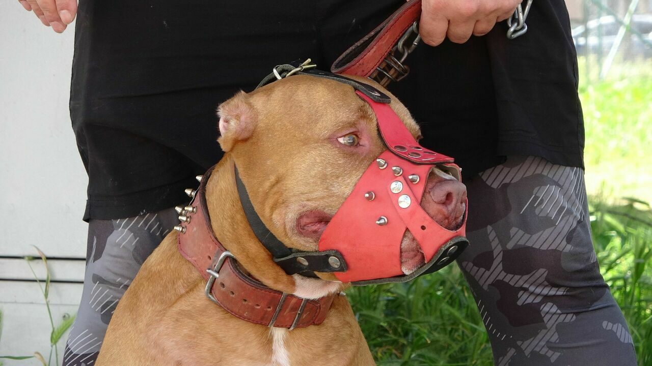 Şikayette Bulundular2