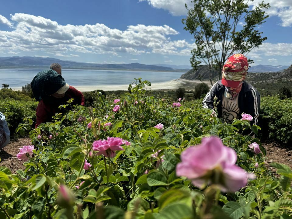 A A 20240509 34509866 34509850 K U R U M A T E H D I D I A L T I N D A K I B U R D U R G O L U C E V R E S I N D E S U V E R I M L I L I G I I C I N G U L Y E T I S T I R I L I Y O R Result