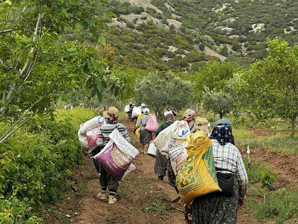 A A 20240509 34509866 34509857 K U R U M A T E H D I D I A L T I N D A K I B U R D U R G O L U C E V R E S I N D E S U V E R I M L I L I G I I C I N G U L Y E T I S T I R I L I Y O R Result