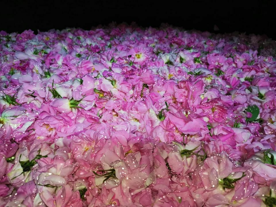 A A 20240509 34509866 34509861 K U R U M A T E H D I D I A L T I N D A K I B U R D U R G O L U C E V R E S I N D E S U V E R I M L I L I G I I C I N G U L Y E T I S T I R I L I Y O R Result