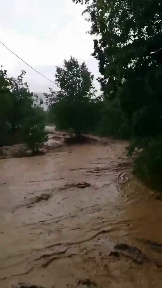 Elazığ’da aniden bastıran sağanak yağış tarım arazi ve dereleri vurdu