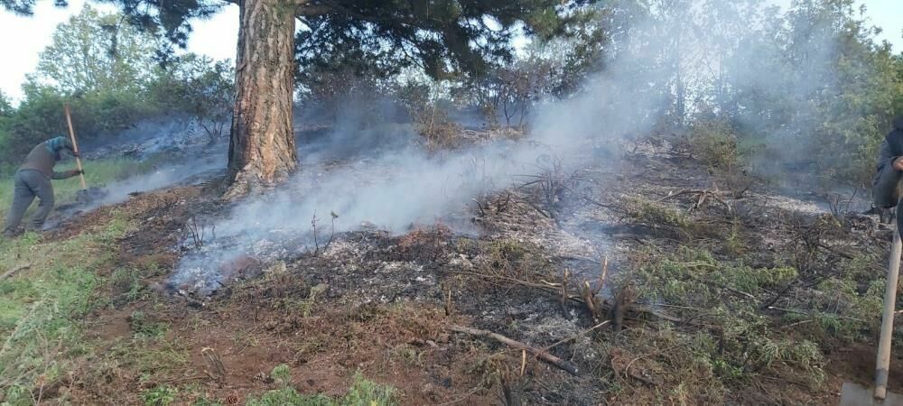 Alaşehir'de çıkan orman yangınına hızlıca müdahale edildi