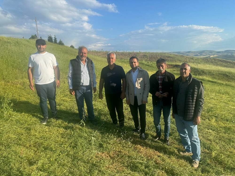 Batman'da dolu ve sağanak yağış tarımı vurdu