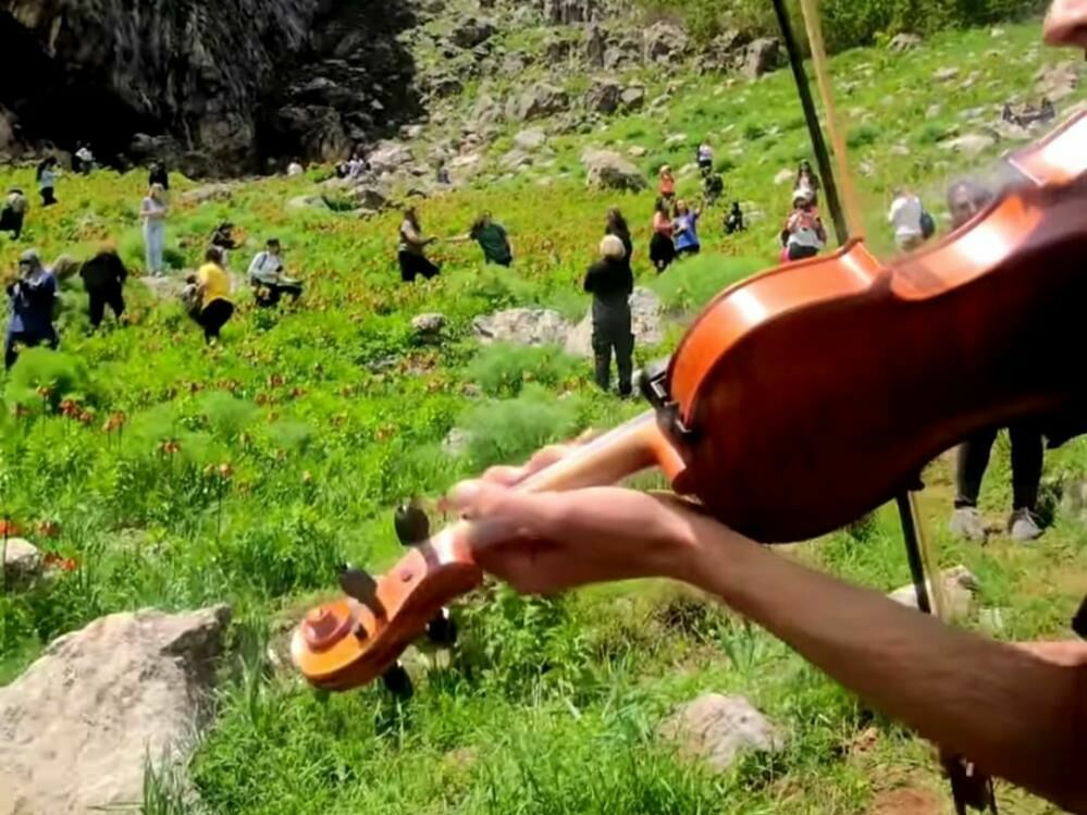 Ters laleler Tunceli dağlarını renklendiriyor