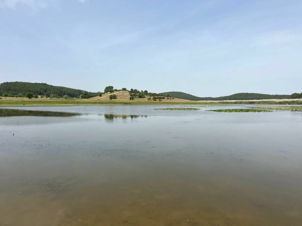 Denizli Buldan’da Süleymanlı Yayla Gölü'nde nilüfer çiçekleri açtı