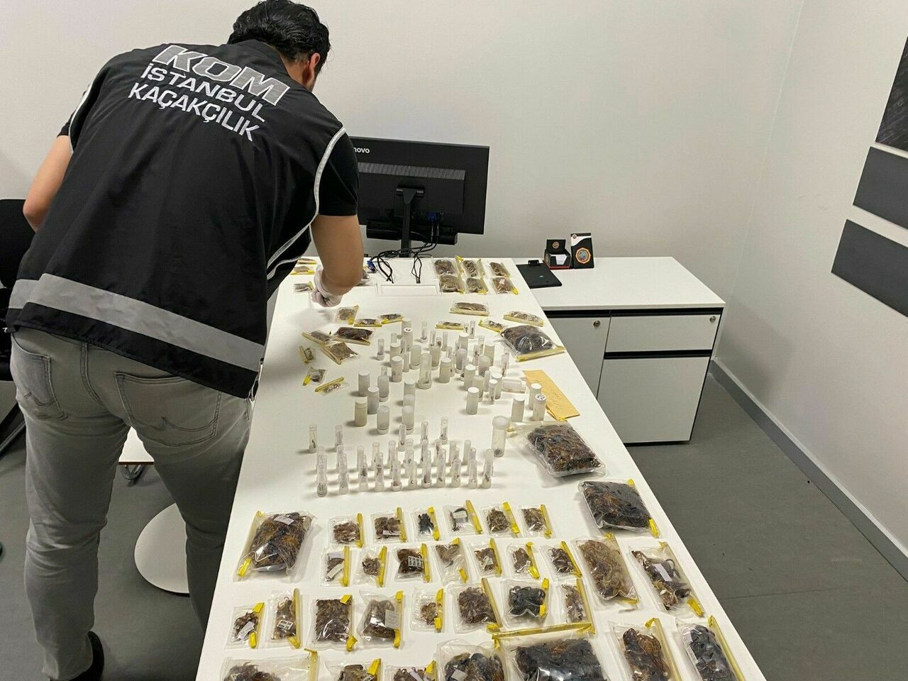 Abd'li Müze Müdürü Tarantula Ve Akrep Kaçakçılığı Yaparken Yakalandı