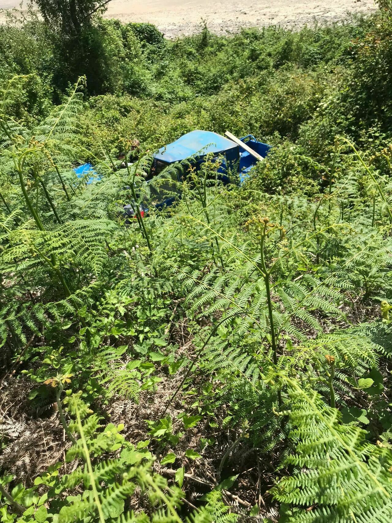 Alaplı'da Tarım Aracı Şarampole Uçtu