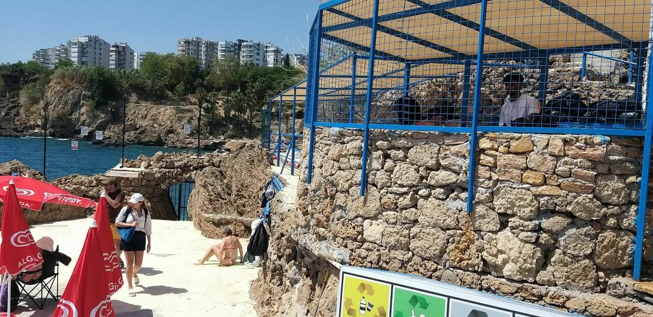 Bambustan Görüntü 8