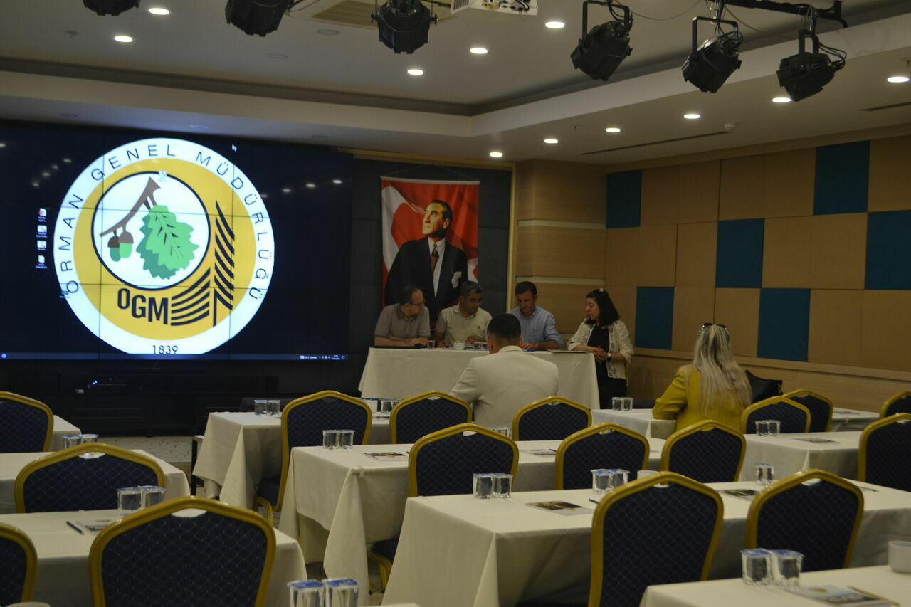 Kesin Kullanılacaki̇hale