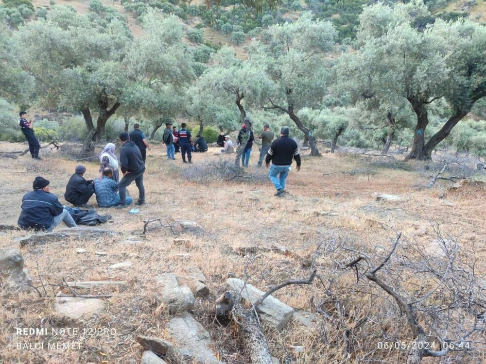 Nazilli'de Kayıp Koyunlarını Arayan Adam Ölü Bulundu2