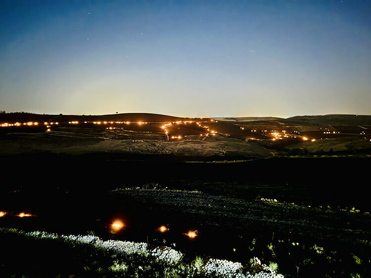 Diyarbakır ve Mardin'de anız yangını: 5 ölü 44 yaralı