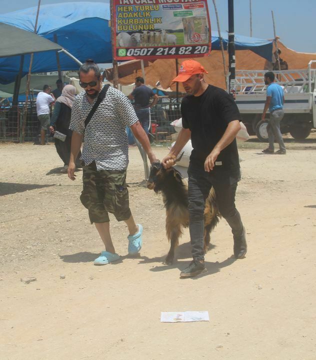 A A 20240616 34896216 34896212 M E R S I N D E H A Y V A N P A Z A R L A R I N D A B A Y R A M Y O G U N L U G U Y A S A N I Y O R Result