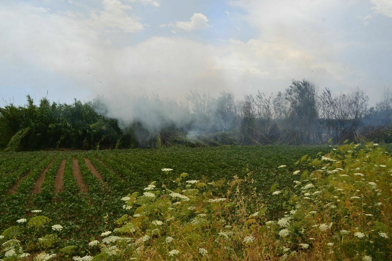 Antalya'da meydana gelen yangın kontrol altına alındı