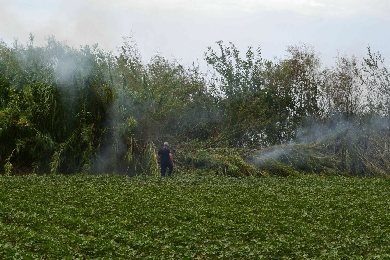 Antalya'da meydana gelen yangın kontrol altına alındı