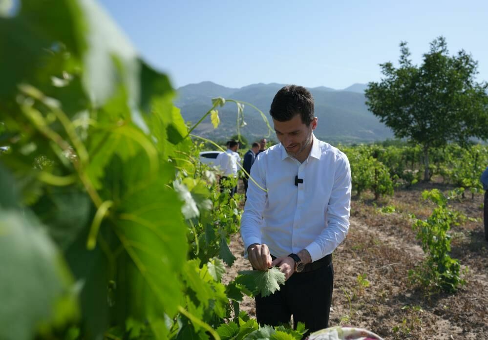 Tokat ekonomisine 2 milyar tl katkı sağlıyor