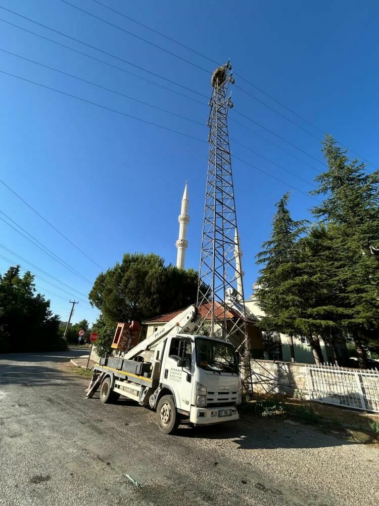 Bucak'ta elektrik direğine takılan leylek kurtarıldı