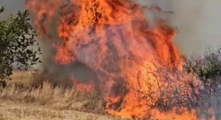Edirne'de örtü yangını 3 köye sıçradı: Tarlalar ağaçlar ahırlar alev alev yanıyor