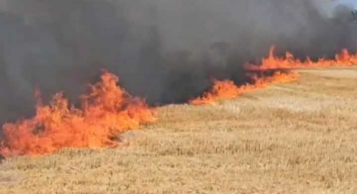 Edirne'de örtü yangını 3 köye sıçradı: Tarlalar ağaçlar ahırlar alev alev yanıyor