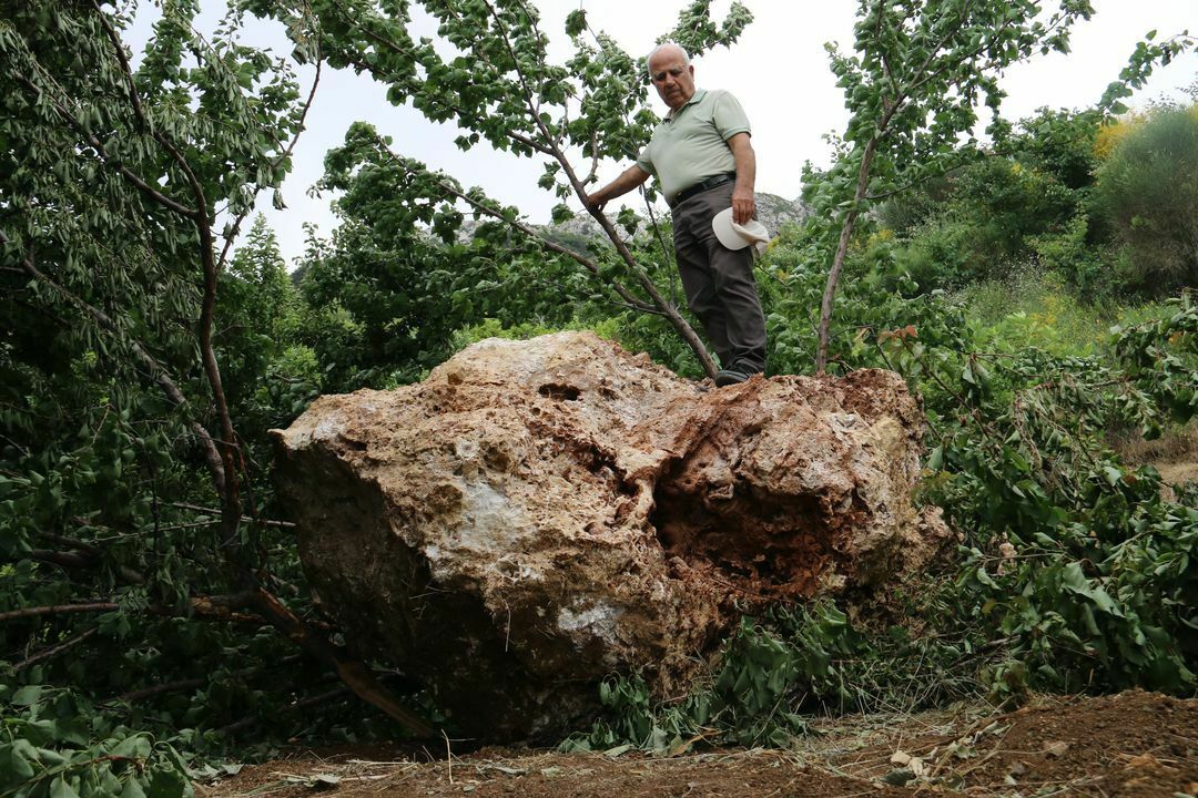 Aw233977 02 (1) Result