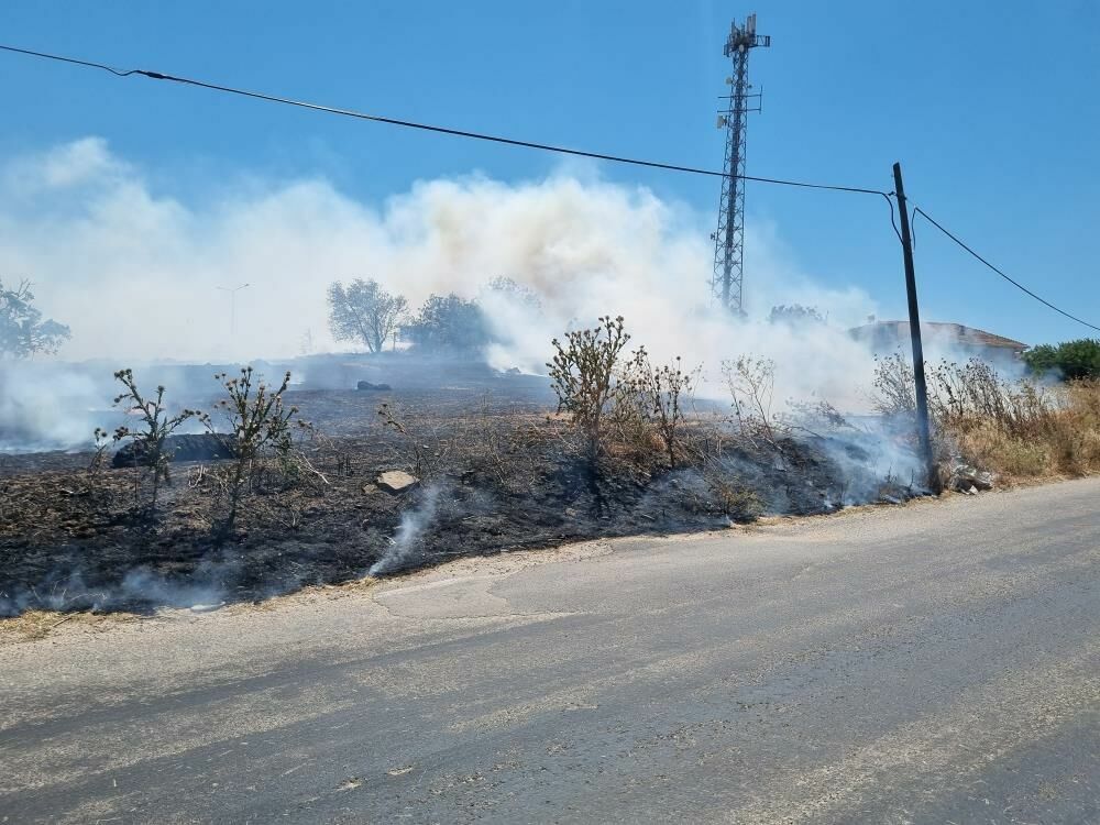 Bursa’nın Nilüfer Ilçesine Bağlı Küçükbalıklı Köyü Girişinde, Otluk Alanda Başlayan Örtü Yangını, Şiddetli Rüzgarın Etkisiyle Hızla Yayıldı. Yangın, Yaklaşık 20 Dönümlük Bir Alana Yayıldı12.2
