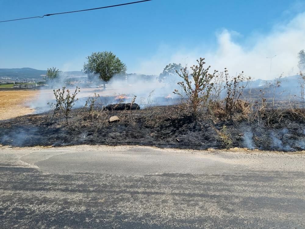 Bursa’nın Nilüfer Ilçesine Bağlı Küçükbalıklı Köyü Girişinde, Otluk Alanda Başlayan Örtü Yangını, Şiddetli Rüzgarın Etkisiyle Hızla Yayıldı. Yangın, Yaklaşık 20 Dönümlük Bir Alana Yayıldı12.3