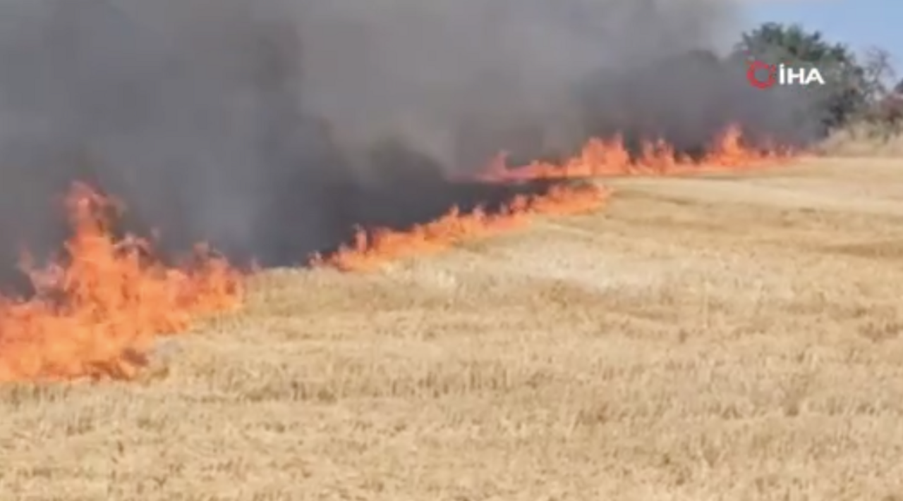 Edirne'de örtü yangını 3 köye sıçradı: Tarlalar ağaçlar ahırlar alev alev yanıyor