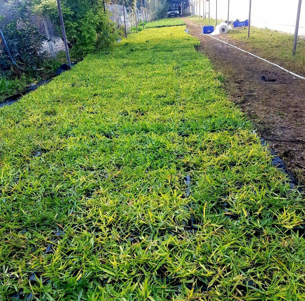 Er N P Wr V X I A Elb J C