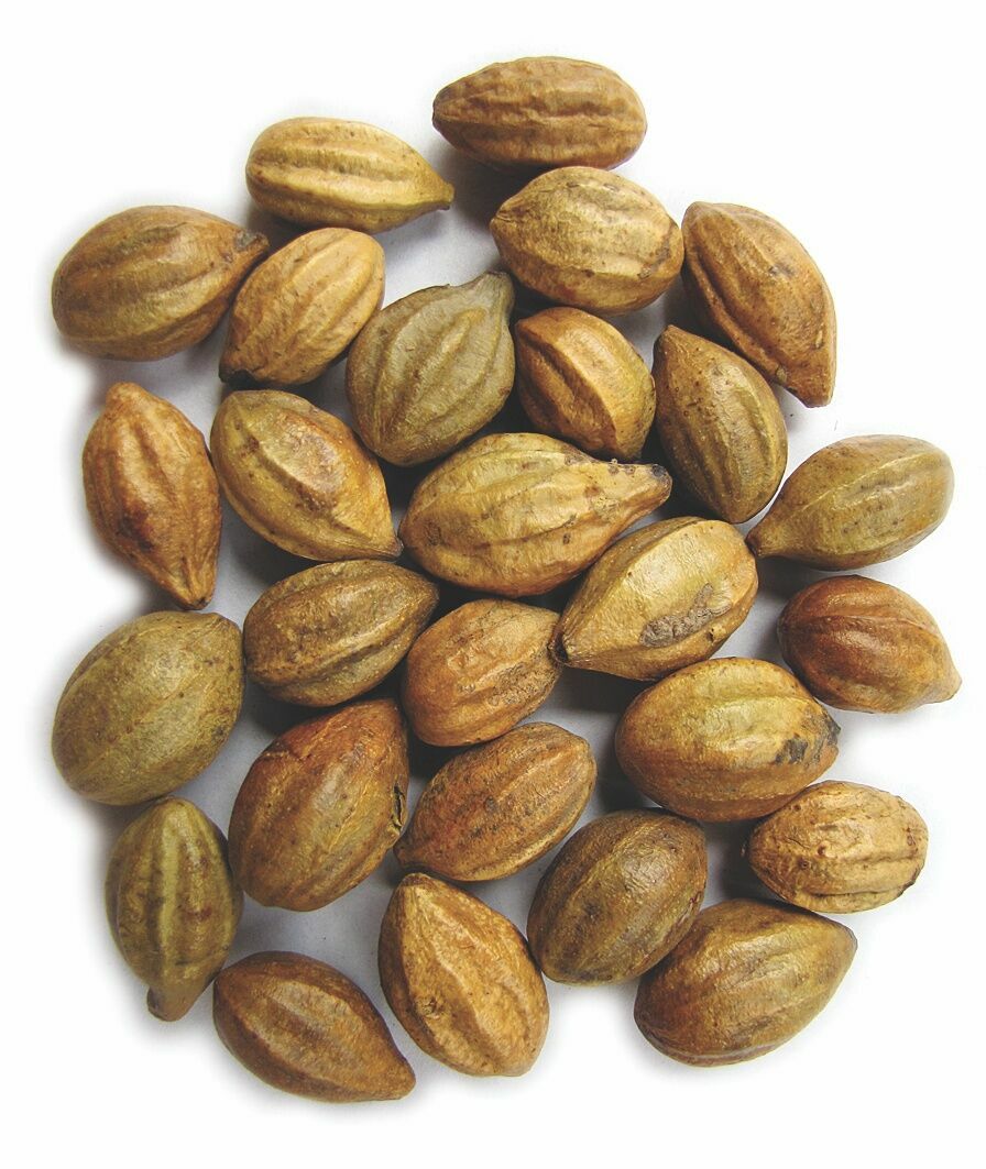 Kara Halile Nedir Ne Işe Yarar (4)