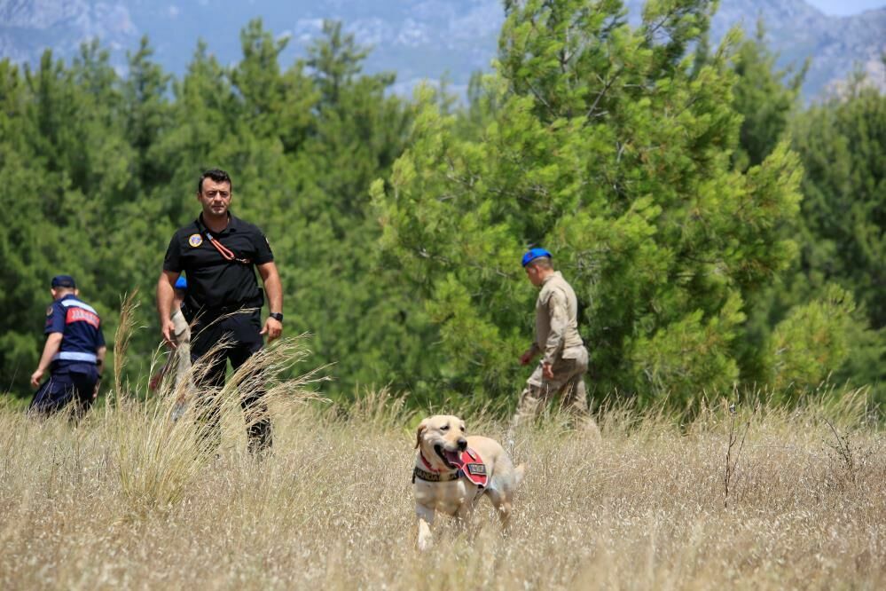 Kayıp Doktor Için Jandarma Ve Afad Alarma Geçti74